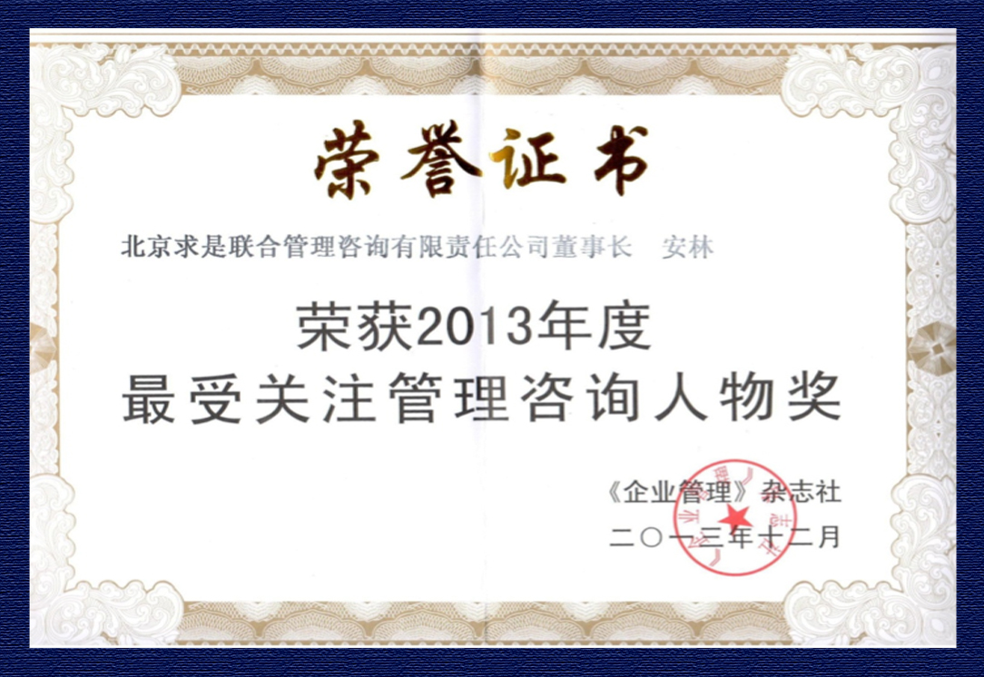 2013年度“ 最受关注管理咨询人物奖”