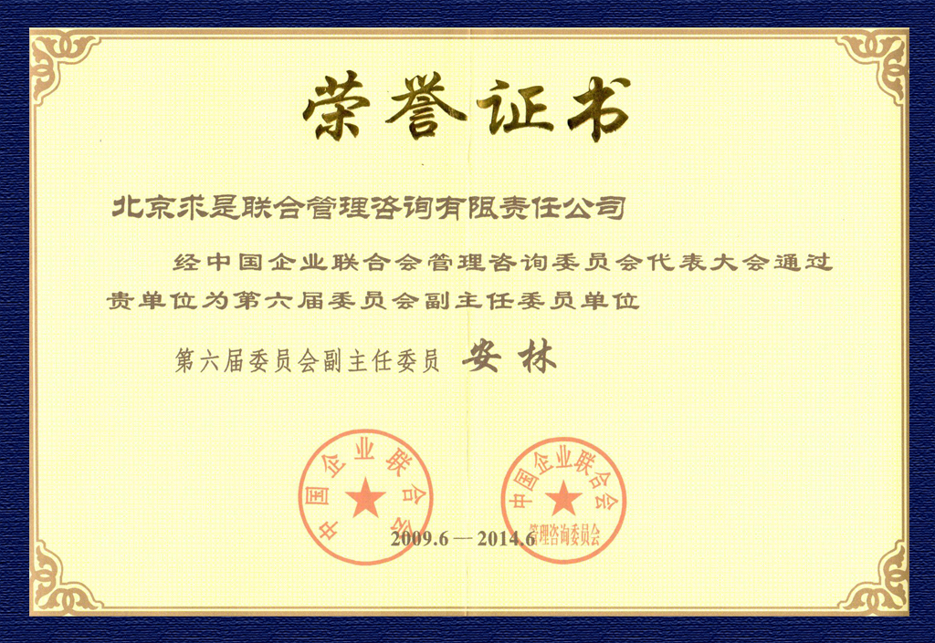 2009中国企业联合会管理咨询委员会副主任委员荣誉证书